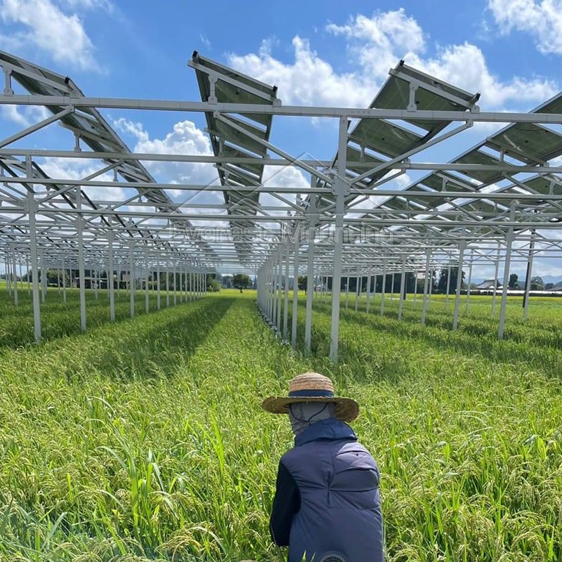 solar farm solar farm
