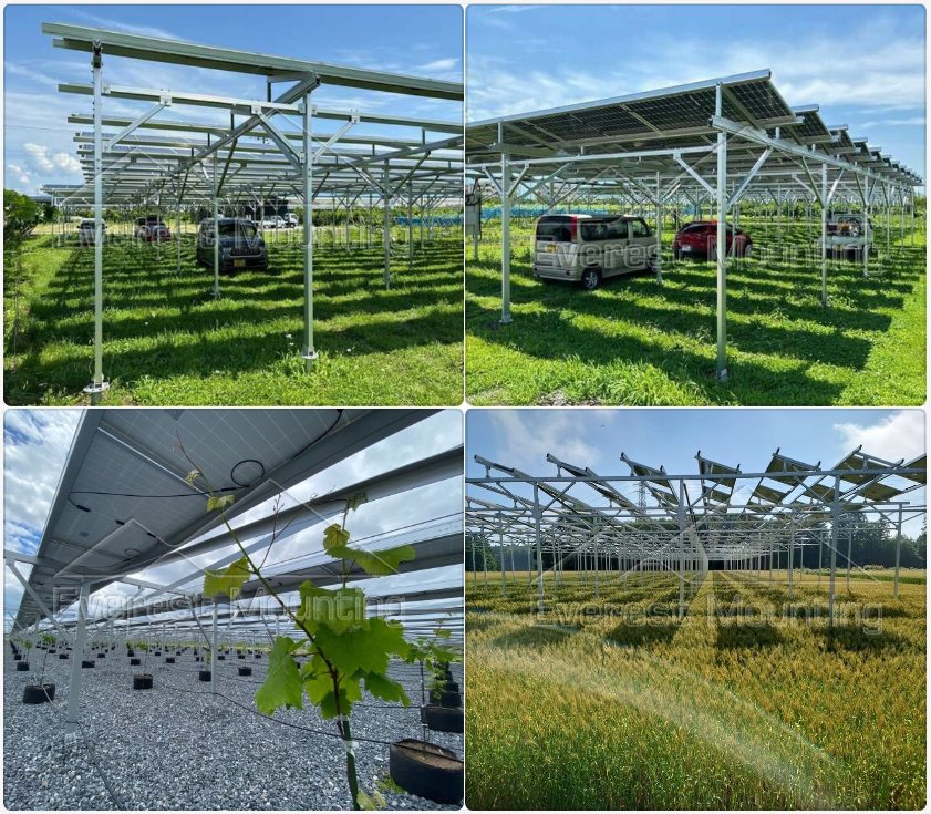 solar farm solar farm